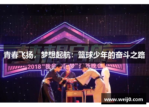 青春飞扬，梦想起航：篮球少年的奋斗之路